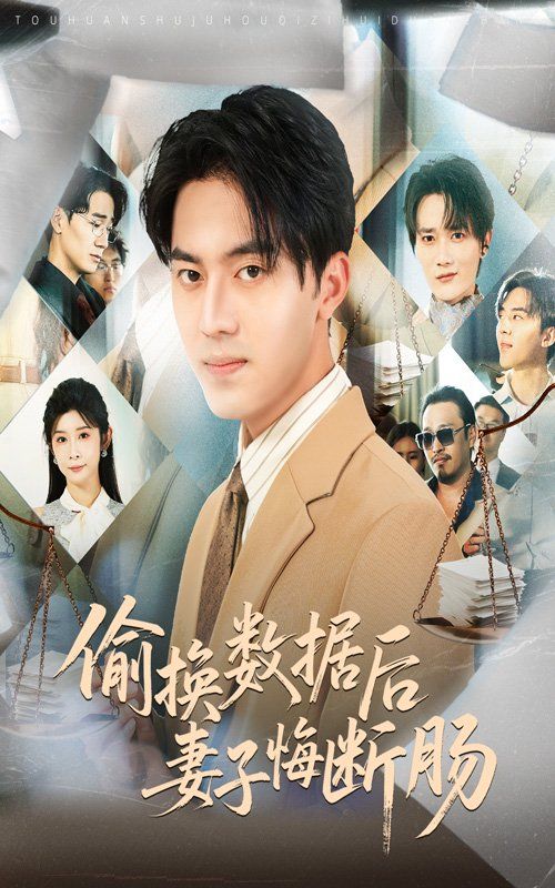 偷换数据后妻子悔断肠(全集)