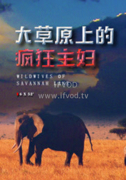 大草原上的疯狂主妇第05集
